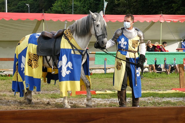 她对广东球 她对广东球