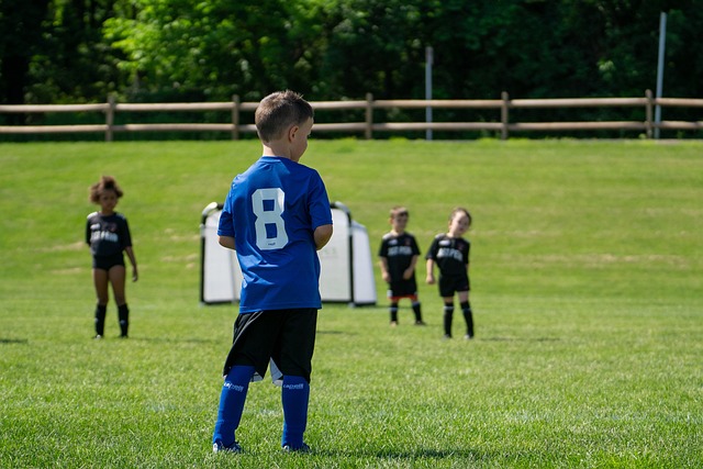 托雷斯的逆 托雷斯的逆