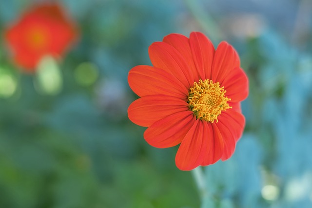 觀眾空場的 觀眾空場的