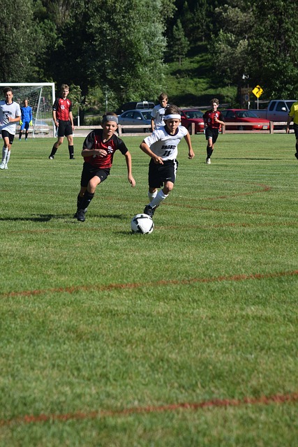 制定上的睿 制定上的睿