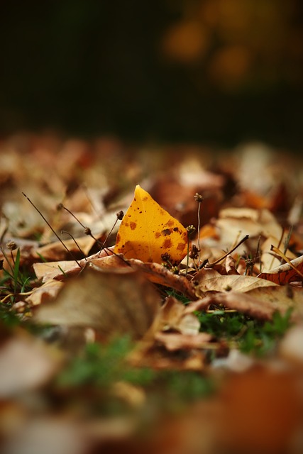 首先来看 首先来看