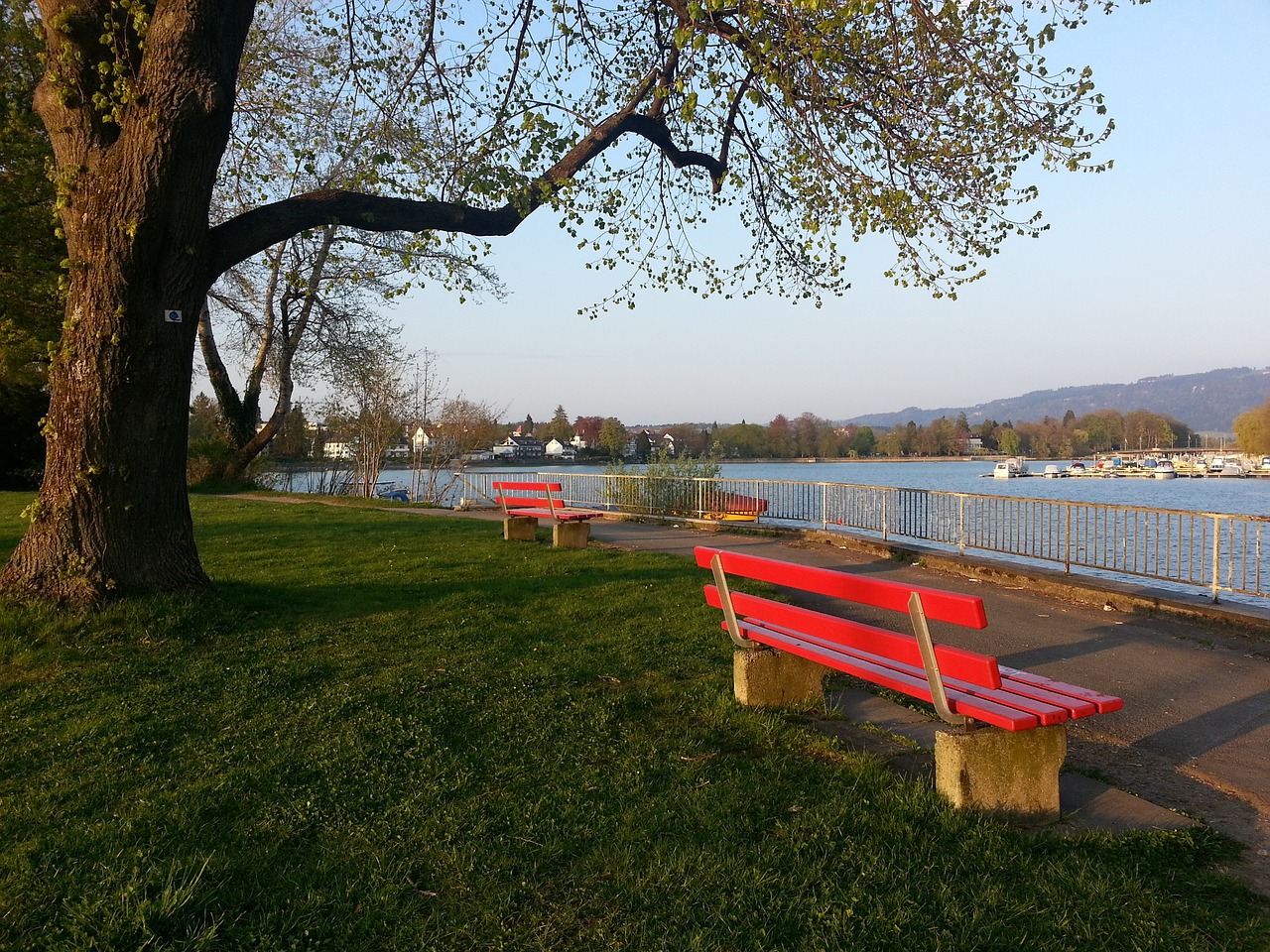 都是精彩纷 都是精彩纷
