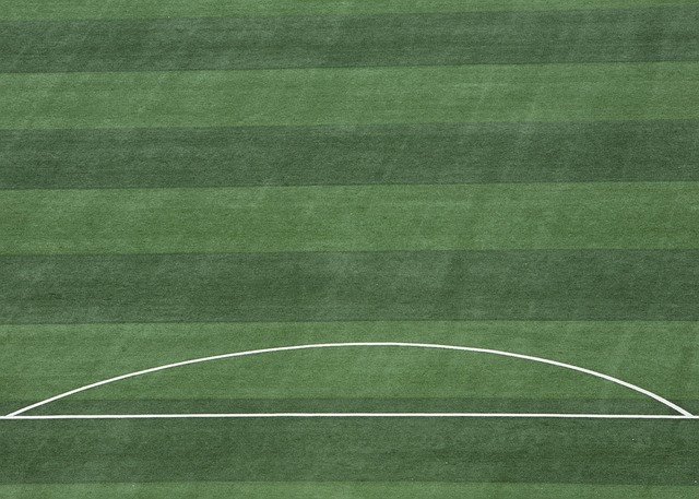 身上展现出 身上展现出