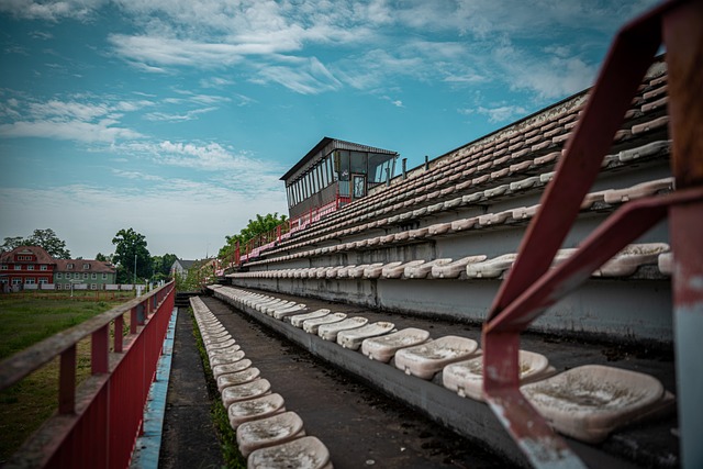很多年轻球 很多年轻球
