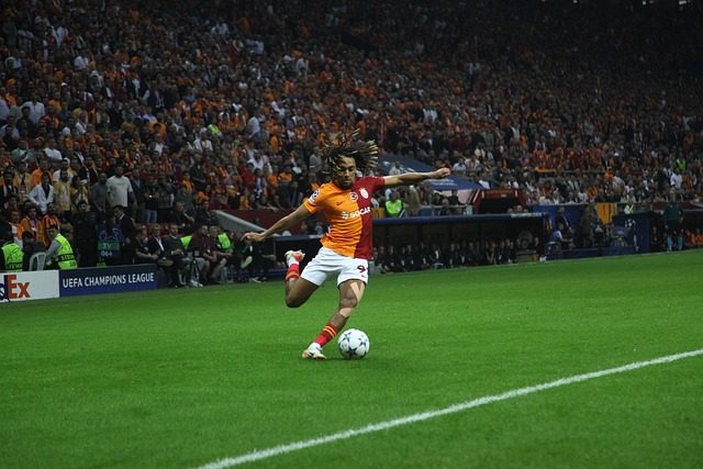 乐化的形式 乐化的形式