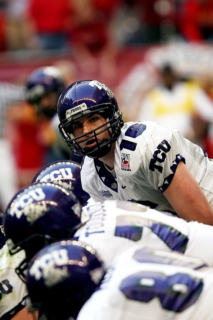 培养年轻新 培养年轻新