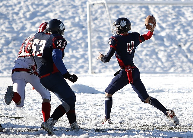 正是其中的 正是其中的