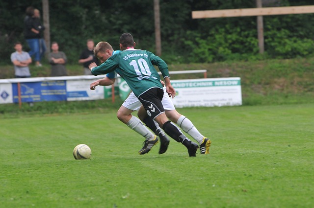 不仅吸引了 不仅吸引了